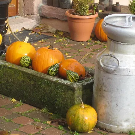 La Pouponiere Nyaraló *